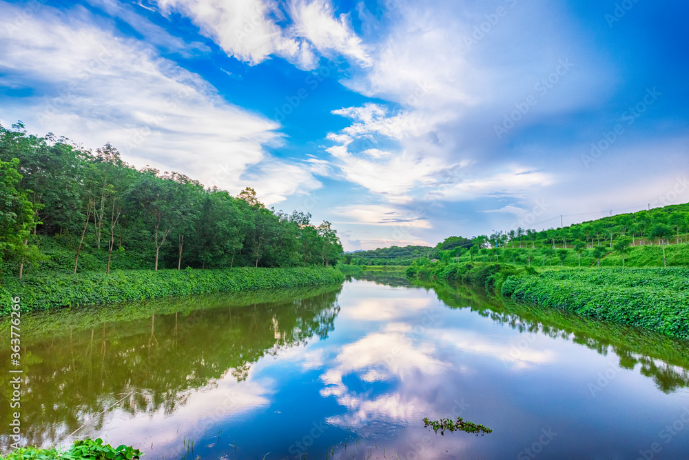 Fototapeta premium The lake in the forest is under the blue sky and white clouds