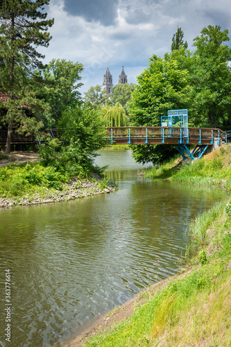 Stadtpark Rotehorn und Magdeburger Dom in Magdeburg im Sommer