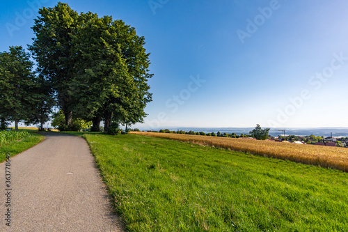 Along the panorama path in Heiligenberg photo