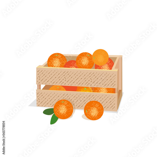 Wooden box with fresh fruit, citrus, oranges or tangerines. Vector illustration isolated on a white background.