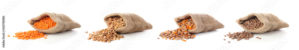 Bags with different raw lentils on white background