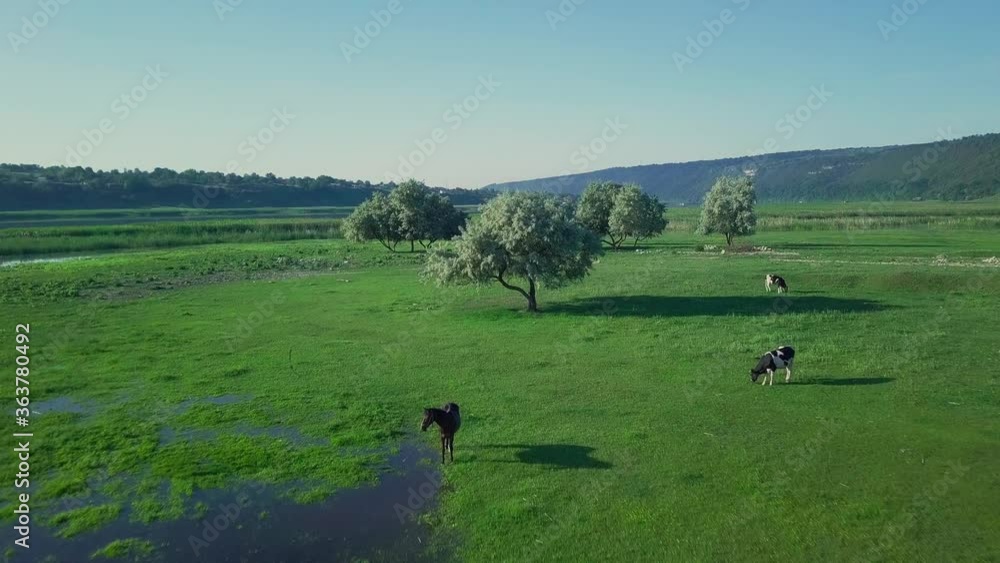 Flight over the River Dniester River. Beautiful view from flying drone. Location place: Moldova republic of.