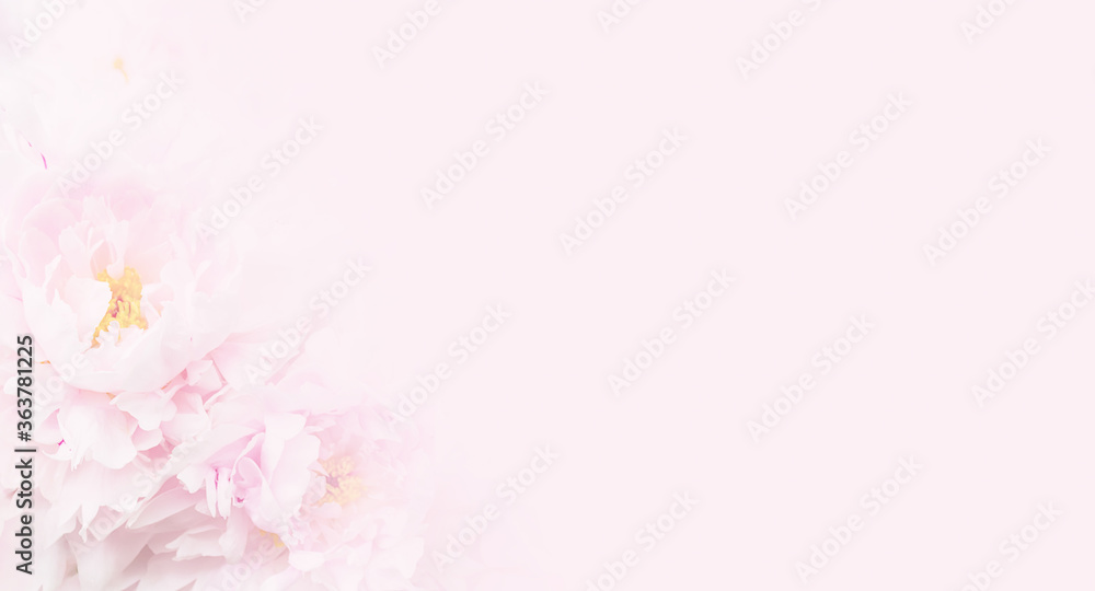 Nice pink floral background for beauty salon, spa or beauty treatments, rejuvenation or intimate hygiene. Mother's Day, March 8th or International Women's Day. Copy space.