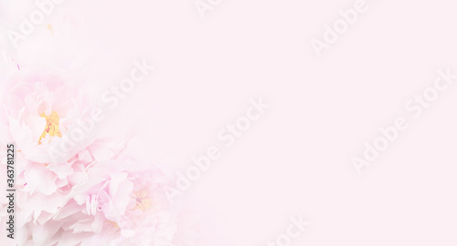 Nice pink floral background for beauty salon, spa or beauty treatments, rejuvenation or intimate hygiene. Mother's Day, March 8th or International Women's Day. Copy space.