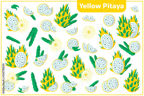 Set of vector cartoon illustrations with Yellow Pitaya exotic fruits, flowers and leaves isolated on white background