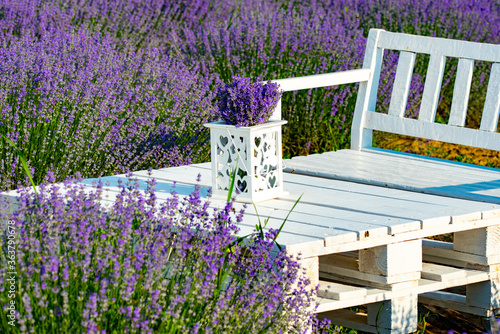 table and chairs in the lavender plain