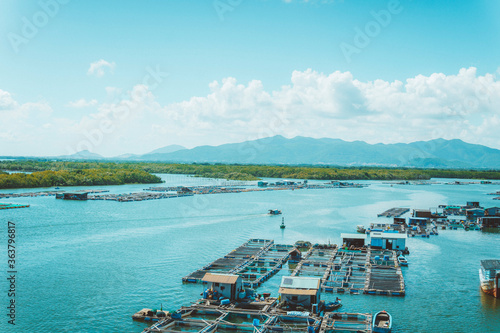 A corner of the oyster feeding farm, float fishing village in Long Son commune, Ba Ria Vung Tau province Vietnam. photo