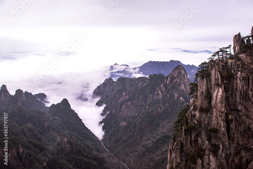 Wonderful and curious sea of clouds and beautiful Huangshan mountain landscape in China. © Chongbum Thomas Park