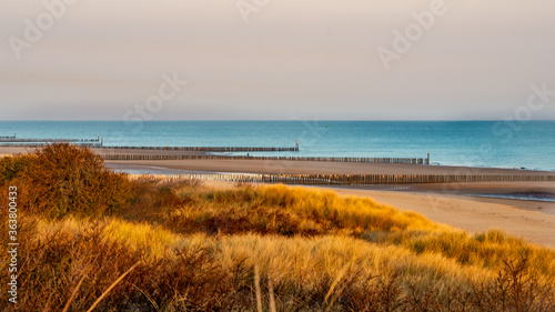 Urlaub, Reisen, Holland, Strand, Küste, Dünen