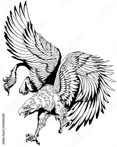 Flying Griffin, griffon, or gryphon. A mythical beast having the body of a lion and the wings and head of an eagle. Black and white vector illustration