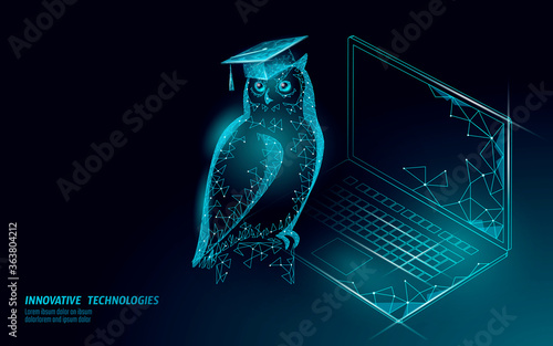 Owl bird symbol of wise education. E-learning distance concept. Graduate certificate international global program concept. Low poly 3D internet education course World map vector illustration