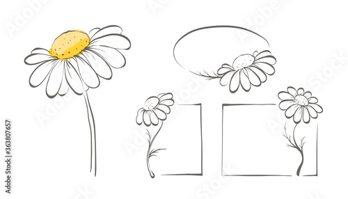Decorative daisies. Set vector design elements, frame of chamomile.