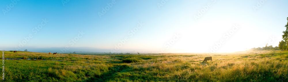 Wonderful panorama of the mountains. Horses on a mountain meadow. Summer panorama landscape in the mountains. Ukraine, Carpathians. Beautiful nature villages. Picture of wildlife - obrazy, fototapety, plakaty 