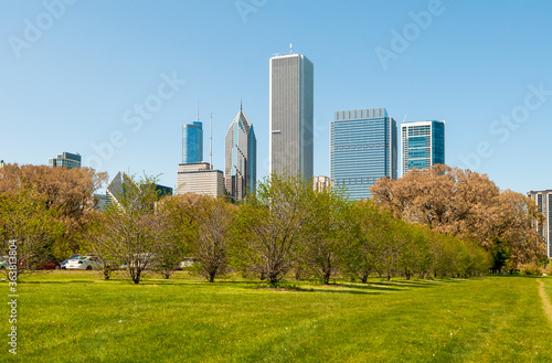 Fototapeta Naklejka Na Ścianę i Meble -  Gardens of Chicago Grant Park with skyscrapers on background, Illinois, USA