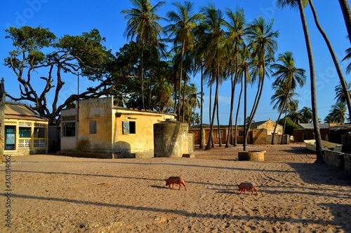 house on the beach photo