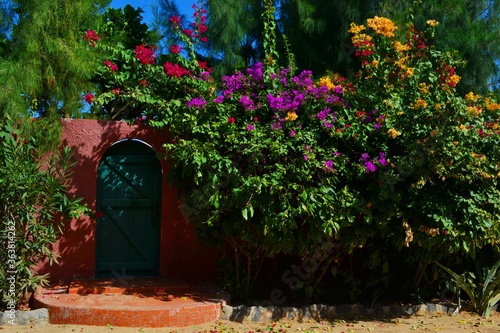 entrance to the garden photo