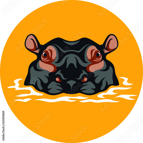 Hippo on the Water