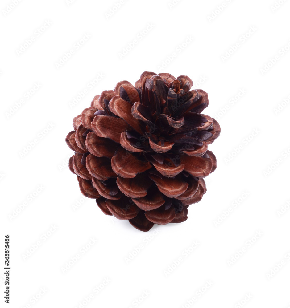 bump isolated on white background bump isolated on white background