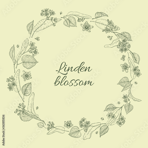 Linden branches flowers and leaves herbal frame. Hand drawn style. Retro vintage graphic border design. Detailed botanical vector sketch for tea, organic cosmetic, medicine, aromatherapy.
