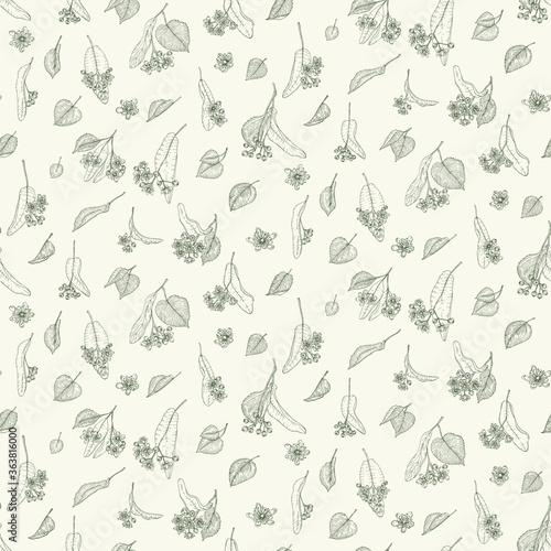 Linden branches flowers and leaves herbal vector pattern. Hand drawn botanical sketch style. Retro vintage graphic design.