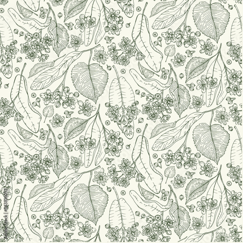 Linden branches flowers and leaves herbal vector pattern. Hand drawn botanical sketch style. Retro vintage graphic design.