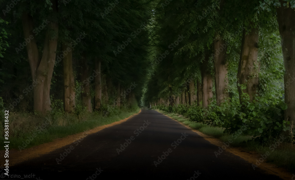 Fototapeta premium Eine unbekannte Strasse ohne Ziel