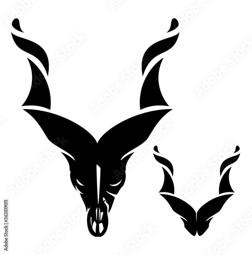 markhor skull head - mountain screw horned goat black vector outline design photo