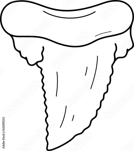 Shark tooth