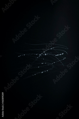 Dark black abstract background rough surface