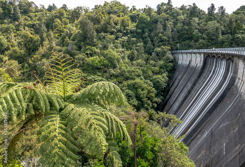 Dam in the rainforest of Auckland, New Zealand.