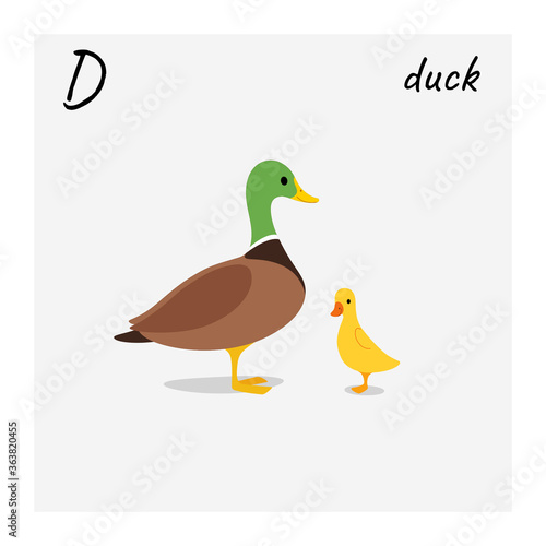 Cartoon duck - cute character for children. Cute flat illustration in cartoon style.
