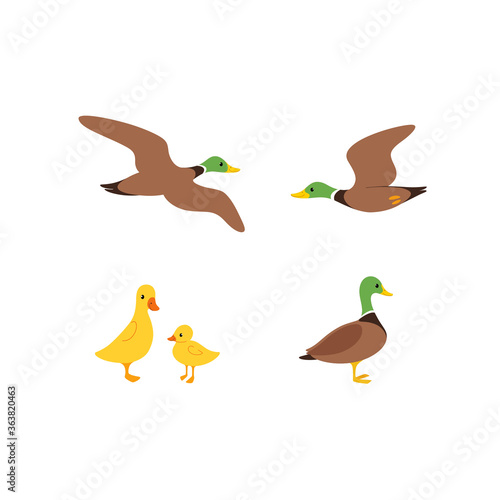 Cartoon duck sketch line icon. Сute bird icons set. Childish print for nursery, kids apparel, poster, postcard, pattern.