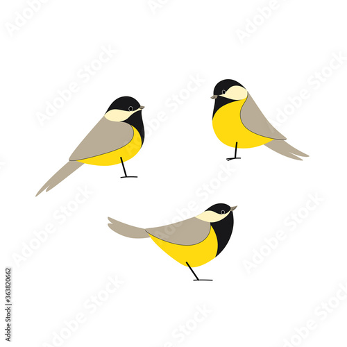 Cartoon bird icon set. Different poses of chickadee. Сute illustration for prints, clothing, packaging, stickers.