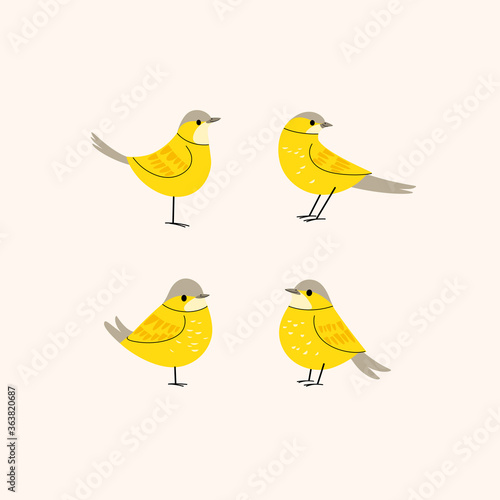 Cartoon bird icon set. Different poses of wagtail. Cute illustration for prints, clothing, packaging, stickers.