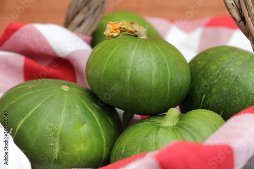 Tapety artystyczne Cucurbita máxima