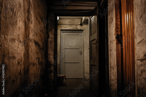 Door in the old basement. Dark old basement in the building - scary place.