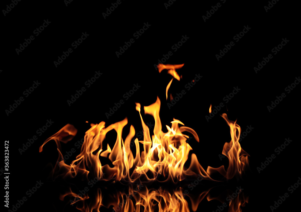 Fototapeta premium Beautiful bright fire flames on black background