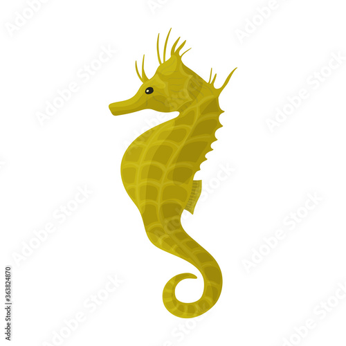 Sea horse vector icon.Cartoon vector icon isolated on white background sea horse.