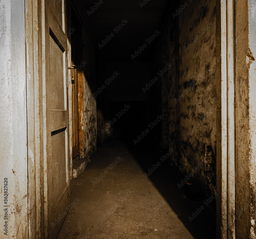Dark old basement in the building - scary place