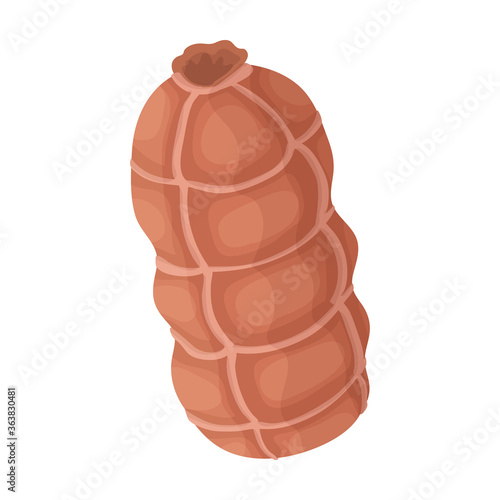 Sausage vector icon.Cartoon vector icon isolated on white background sausage.