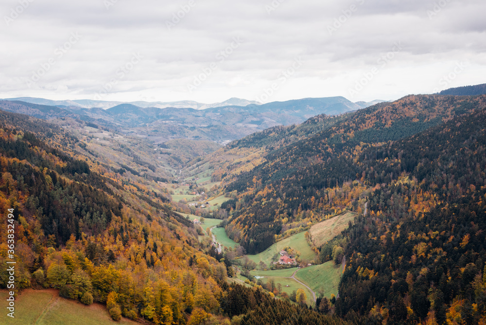 montagnes et forêt en automne. Vosges en automne