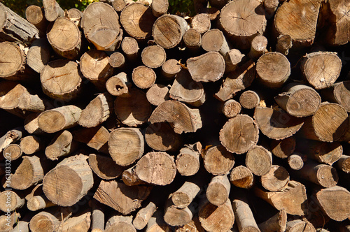 pile of wood logs background