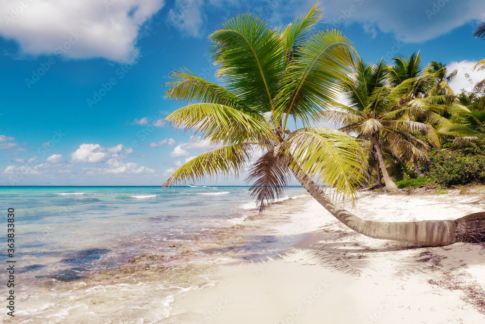 Obraz premium Tropical white sandy beach with palm trees. Serenity beach at sunrise. Beautiful holiday background.