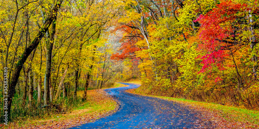 Winding road through autumn leaves in Hocking Hills Ohio - obrazy, fototapety, plakaty 