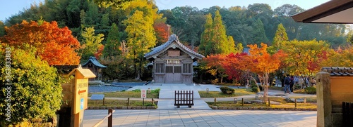 Foto Autumn leaves at Dazaifu Tianmangu shrine building in Fukuoka, Japan