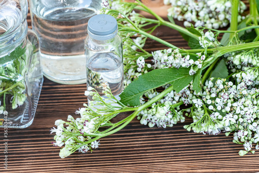 Used as an alternative to valium in natural medicine. Used as an alternative to valium in natural medicine.
