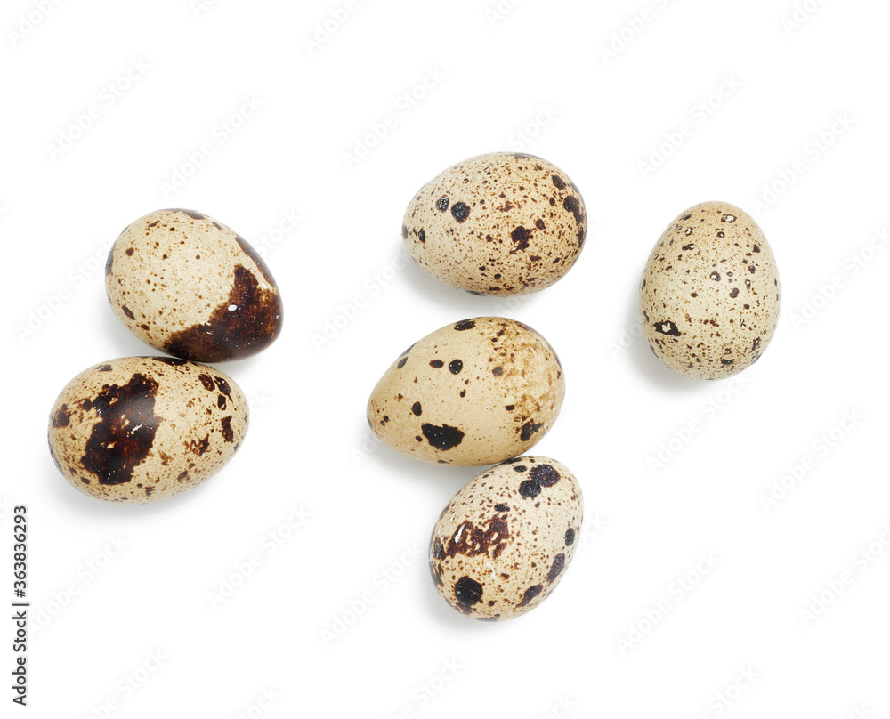 round raw quail eggs isolated on white background round raw quail eggs isolated on white background