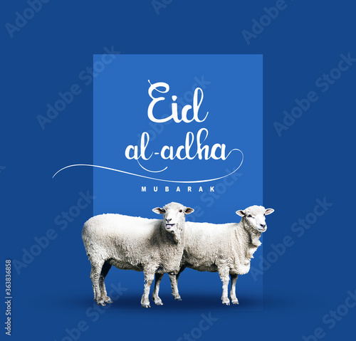 calligraphy text of Eid Mubarak for the celebration of Muslim community festival Eid Al Adha. Greeting card with sacrificial sheep photo