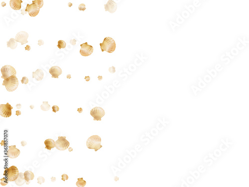 Gold seashells vector, golden pearl bivalved mollusks. 