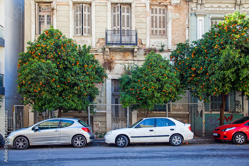 Lovely oranges growing in the Athens street © sasaperic